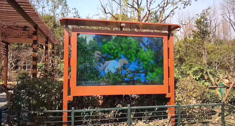 1694515299663357.jpg 6082afd023987.jpg