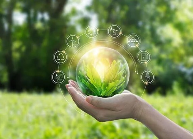 1702026484846343.png 2.png